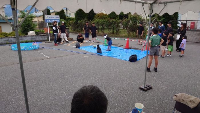 20250809_121310小.JPG